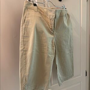 New York & Company Tan Flat Front Shorts